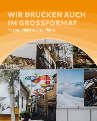 Instagram post from thomanndruck. This post is in position 12.